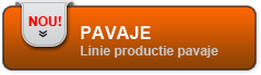 Linie productie pavaje